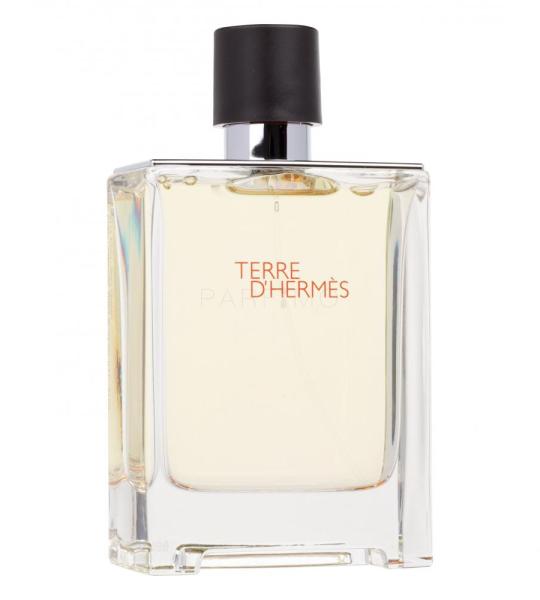 Terre d’Hermès Eau de Toilette pentru barbati 100 ml